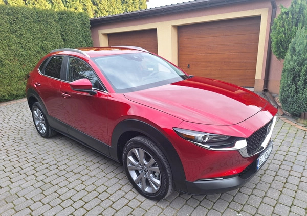 Mazda CX-30 cena 119000 przebieg: 8600, rok produkcji 2023 z Łomża małe 121